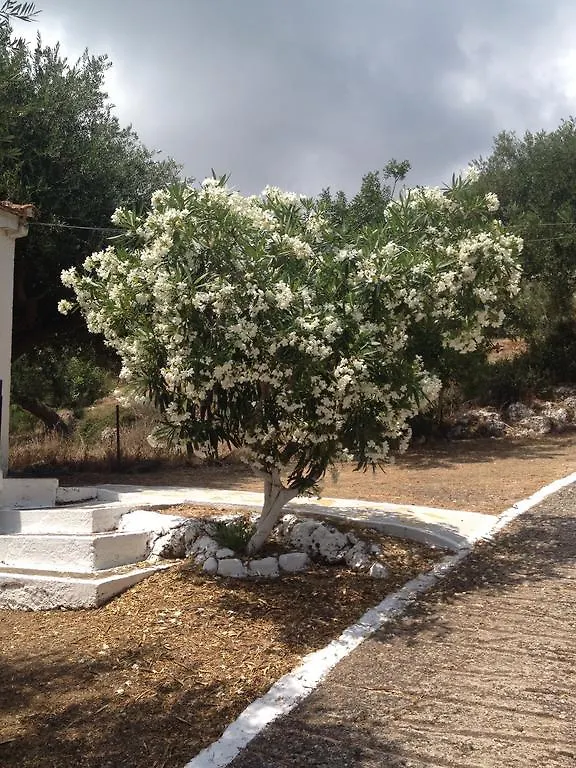 B&D 1 Apartment Zola Greece
